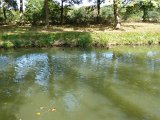 Jeudi après midi-Domaine du Croc Du Merle Muides sur Loire